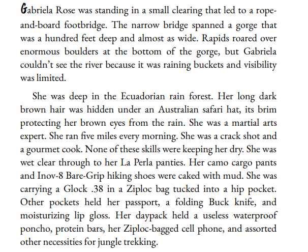 The Recovery Agent By Janet Evanovich