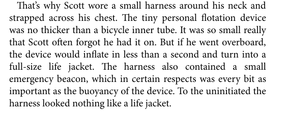 The Summer Job by Lizzy Dent