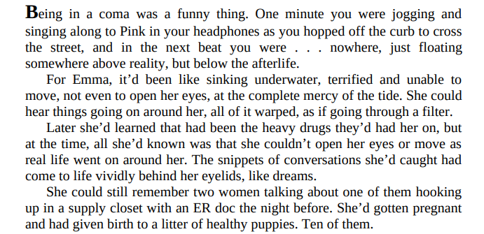 Love for Beginners by Jill Shalvis