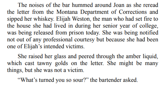 Burn You Twice by Mary Burton