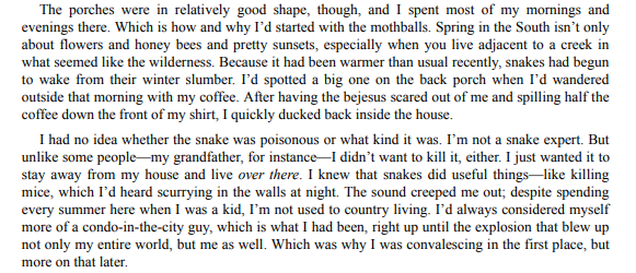 The Return by Nicholas Sparks