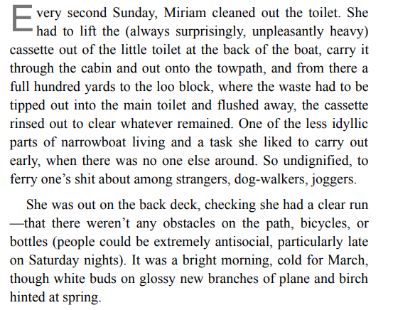 A Slow Fire Burning by Paula Hawkins 