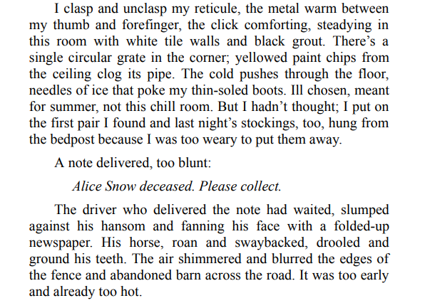 After Alice Fell By Kim Taylor Blakemore PDF