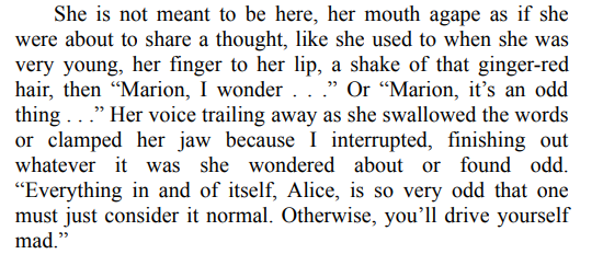 After Alice Fell By Kim Taylor Blakemore PDF