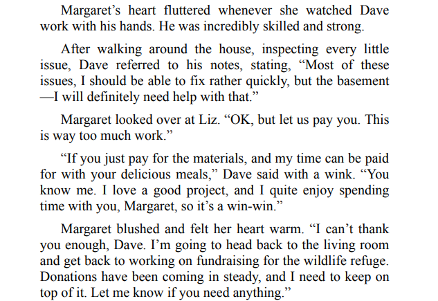 Christmas in Cape May by Claudia Vance PDF