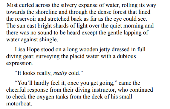 Dark Skies by LJ Ross