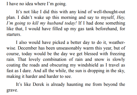 Do Not Disturb By Freida McFadden 