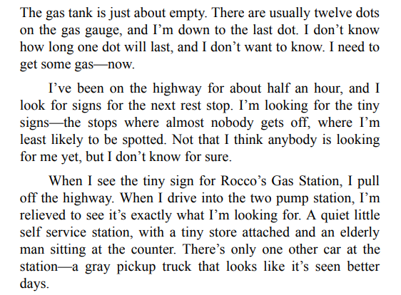 Do Not Disturb By Freida McFadden 