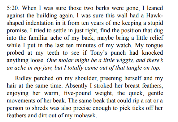 Hawk by James Patterson