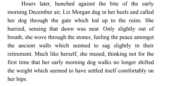 Holy Island by LJ Ross