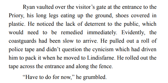 Holy Island by LJ Ross