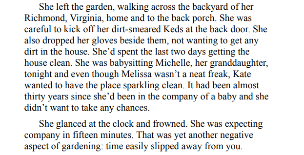 If She Saw by Blake Pierce