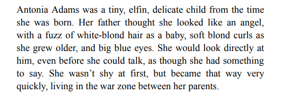 Invisible by Danielle Steel