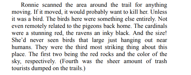 Kismet by Amina Akhtar PDF