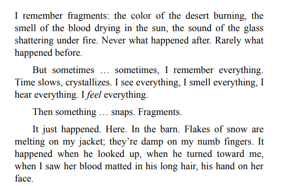 Little Falls by Elizabeth Lewes