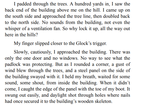 Little Falls by Elizabeth Lewes