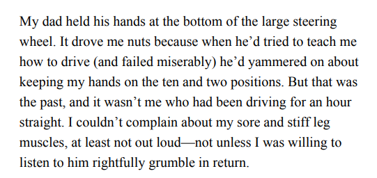 Night Owls and Summer Skies by Rebecca Sullivan PDF