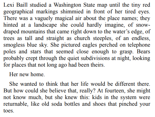 Night Road by Kristin Hannah