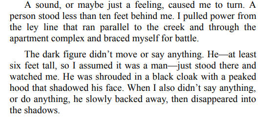 Night Stalker by BR Kingsolver