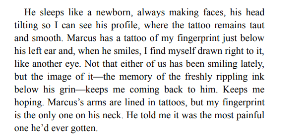 Nightcrawling by Leila Mottley PDF