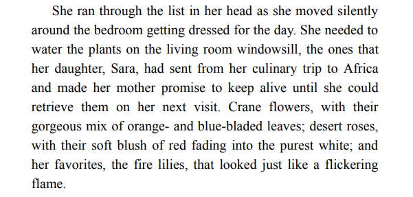 No Home Like Nantucket By Grace Palmer PDF