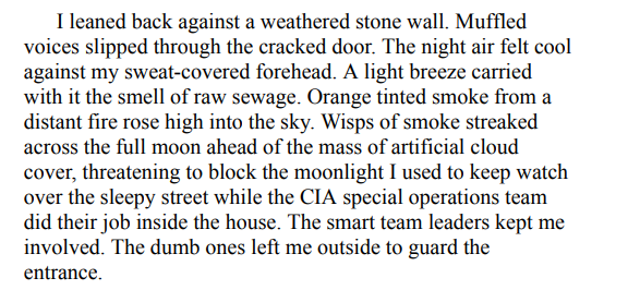 Noble Beginnings by L.T. Ryan PDF