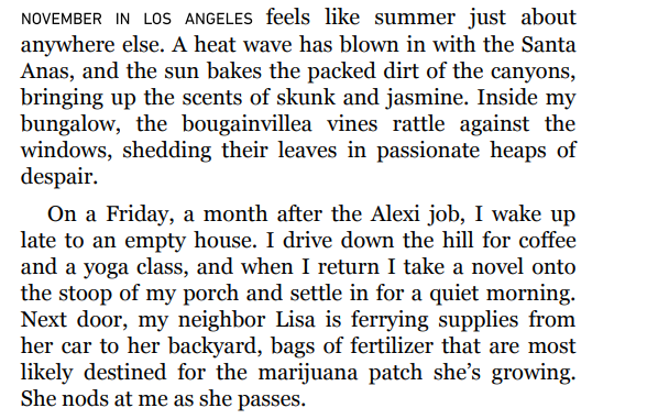 Pretty Things By Janelle Brown