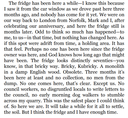 Something in the Water By Catherine Steadman