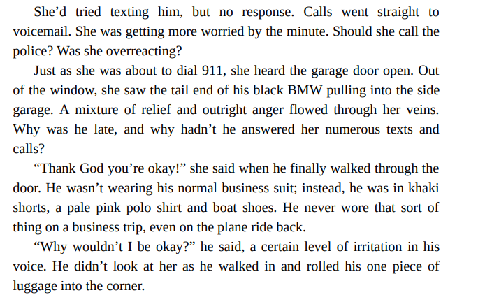 The Beach House By Rachel Hanna