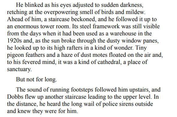 The Infirmary by LJ Ross