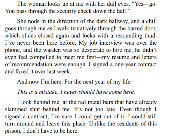 The Inmate By Freida McFadden