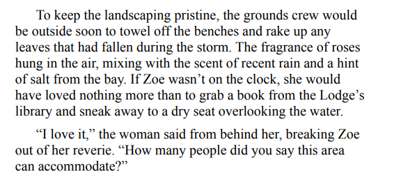 The Inn at Willa Bay By Nicole Ellis 