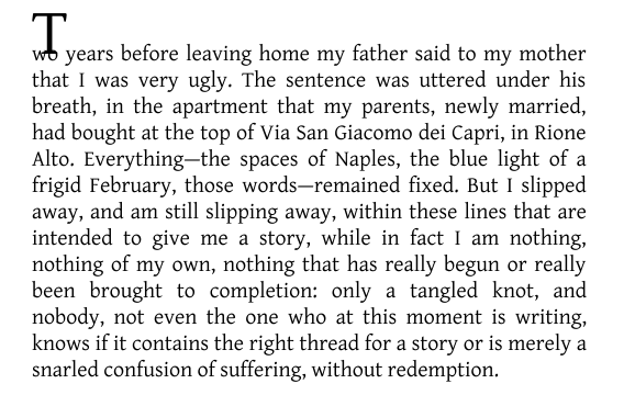 The Lying Life of Adults by Elena Ferrante