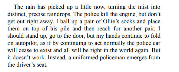 The Mother-in-Law by Sally Hepworth