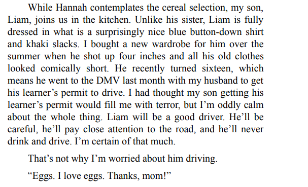 The Perfect Son By Freida McFadden