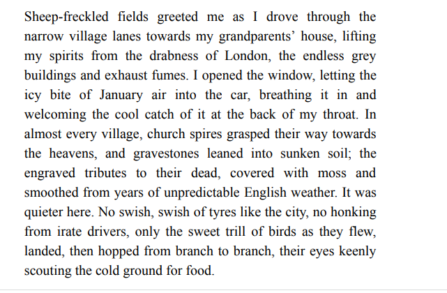 The Rainbow by Carly Schabowski PDF