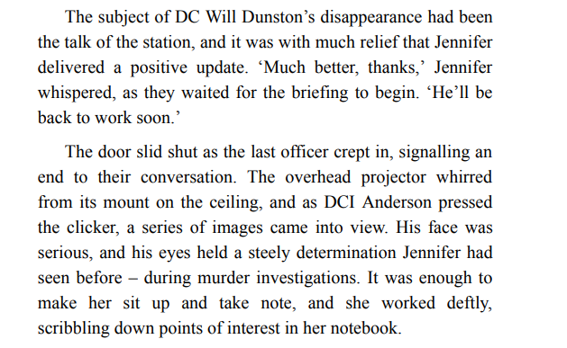 The Silent Twin by Caroline Mitchell ePub