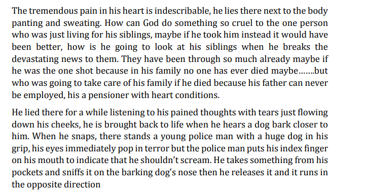 Through Fire After Fire pdf