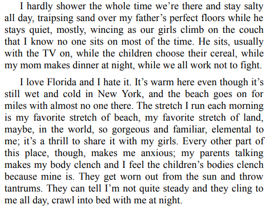 Want by Lynn Steger Strong