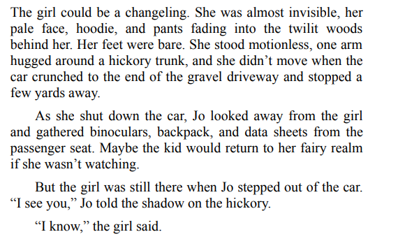 Where the Forest Meets the Stars by Glendy Vanderah