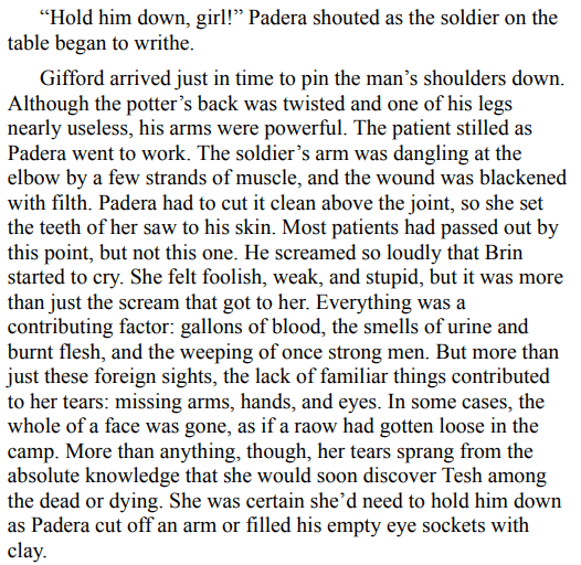 Age of Legend by Michael J. Sullivan