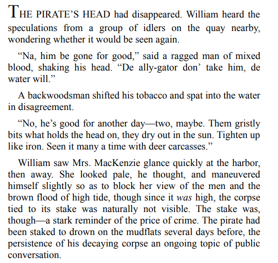 An Echo in the Bone by Diana Gabaldon 