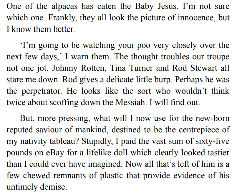 Christmas for Beginners by Carole Matthews