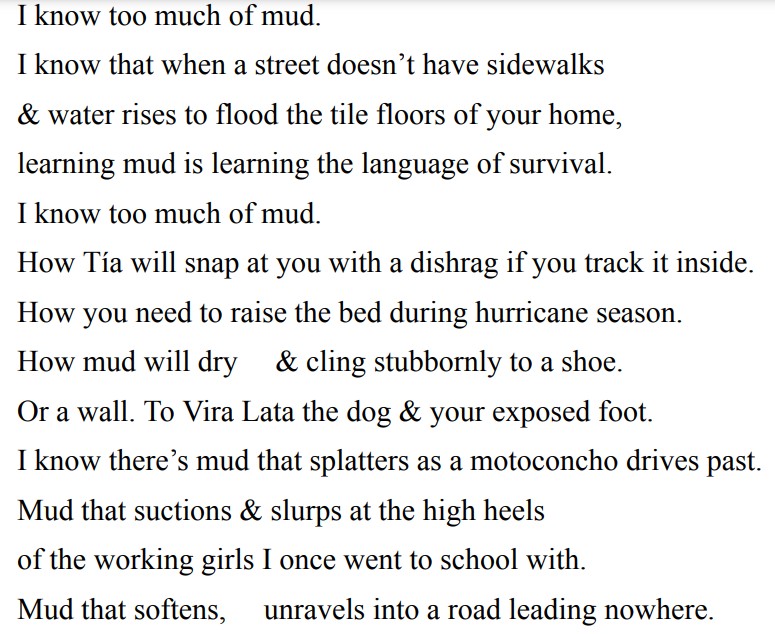 Clap When You Land by Elizabeth Acevedo