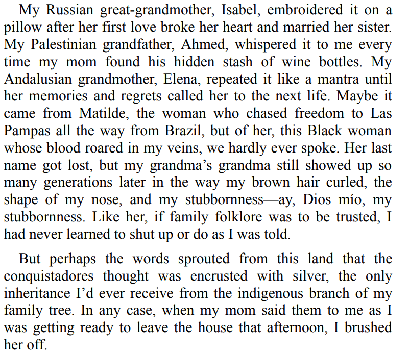 Furia by Yamile Saied Méndez 