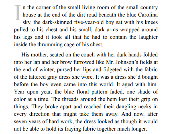 Hell of a Book by Jason Mott PDF