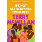 It's Not All Downhill from Here by Terry McMillan