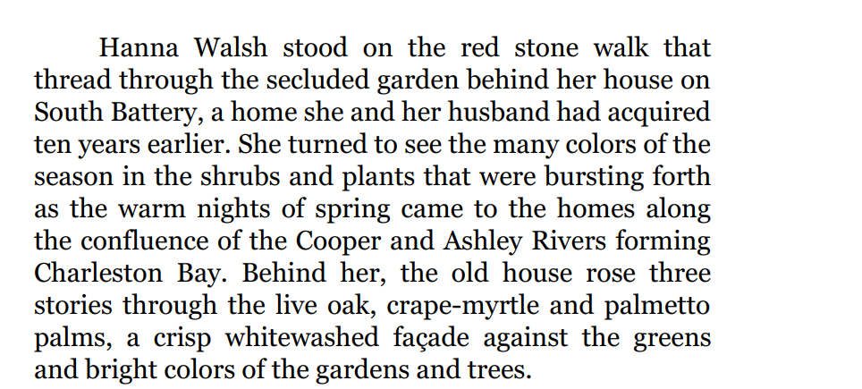 LIES WE NEVER SEE by Michael Lindley 