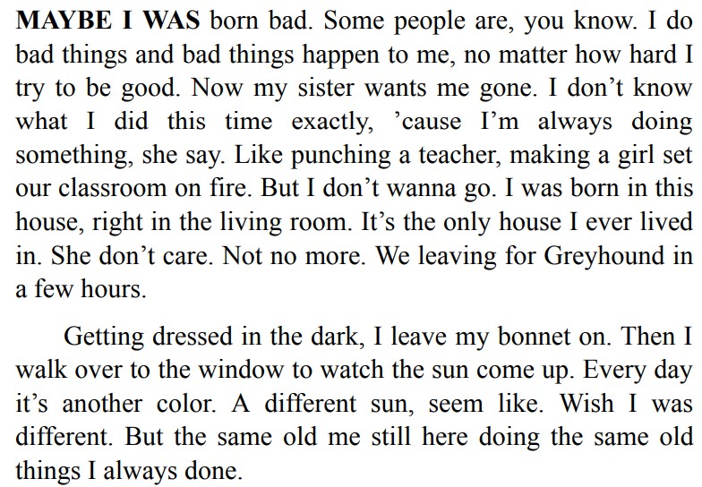 Life I’m In by Sharon G. Flake 