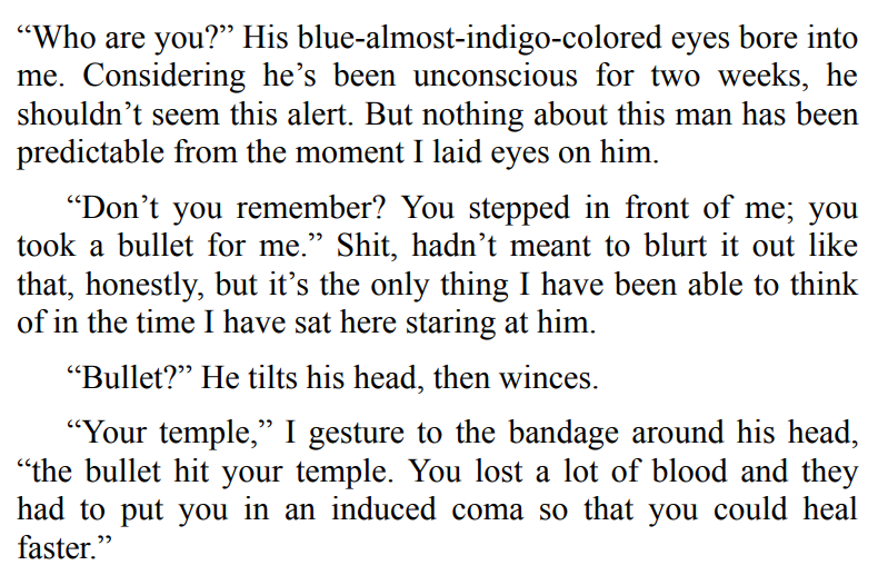 Mafia Crown by L. Steele 